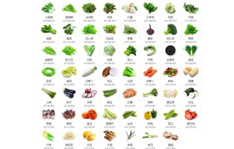 春天蔬菜列表大全
