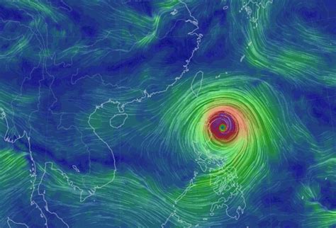 最新台风动态图