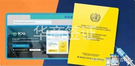 最新国际疫苗证书申请流程