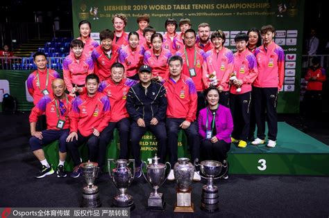朝鲜世乒赛中国队阵容