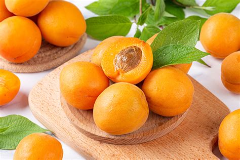 杏子吃多了对身体有害吗