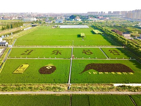 杭州农业推广策划
