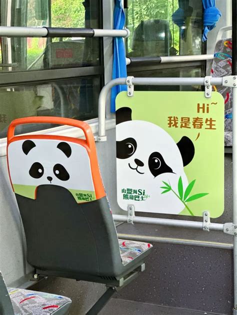 杭州熊猫代运营
