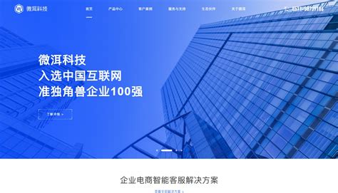 杭州网站建设公司网络服务