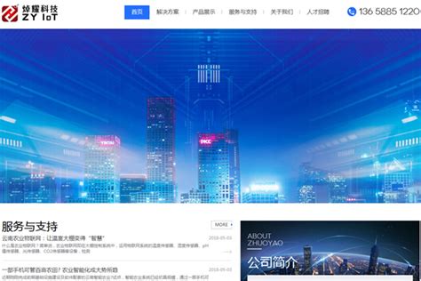 杭州H5网站开发案例