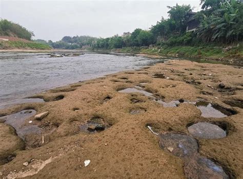 枯水期河床的图片