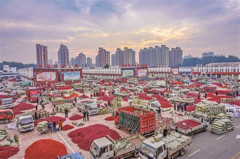 柘城辣椒市场在哪个位置