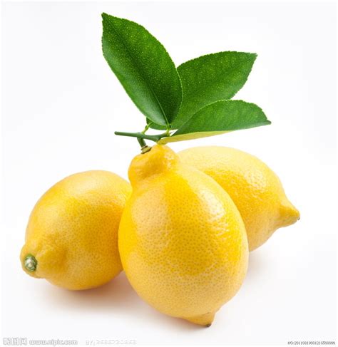 柠檬02x