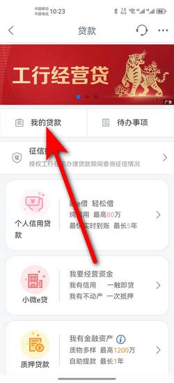 柳州app怎么查自己的房贷明细