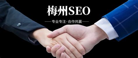 梅州seo企业推广专业公司