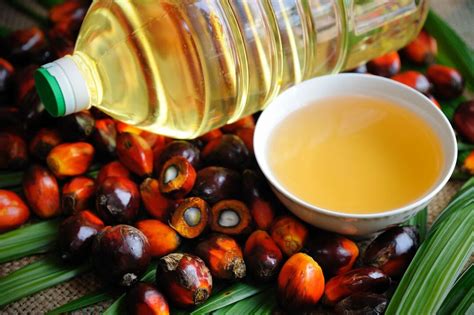 棕榈油是优质脂肪吗