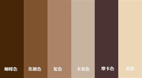 棕色也叫什么颜色