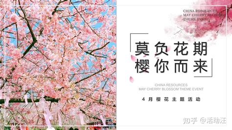 樱花节宣传策划方案