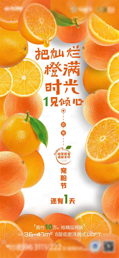 橙子广告公司