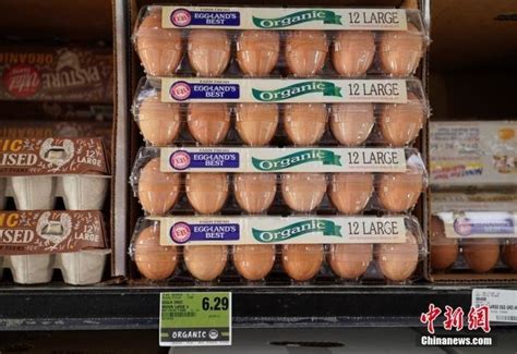 欧洲禽流感会导致鸡蛋涨价吗