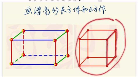 正方体和长方体的常见结论