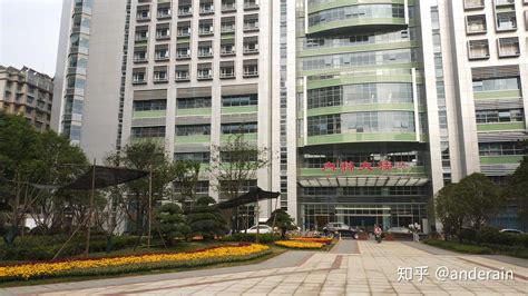 武汉同济医院官网是哪个区