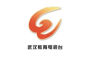 武汉教育频道在线实时直播视频