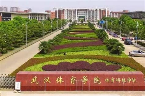 武汉科技大学体育学院地址