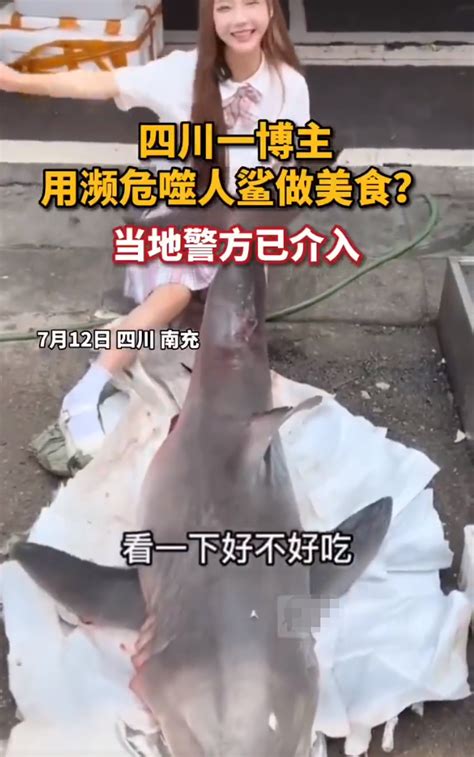 水产店回应网红烹食大白鲨
