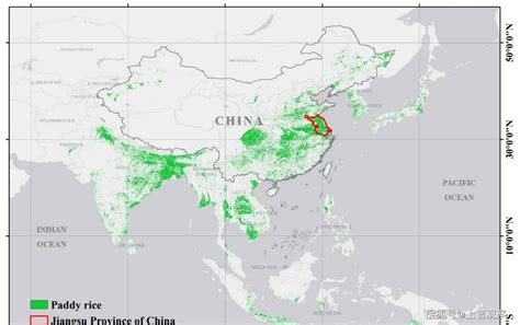 水稻从哪里传入中国