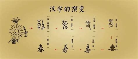汉字的演变过程的顺序