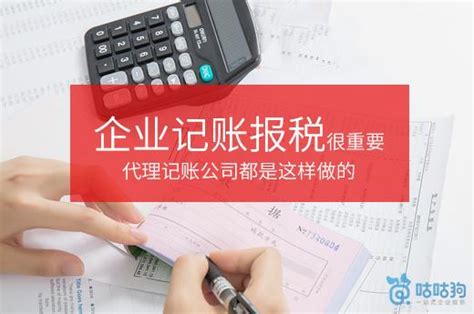 江苏企业记账报税外包