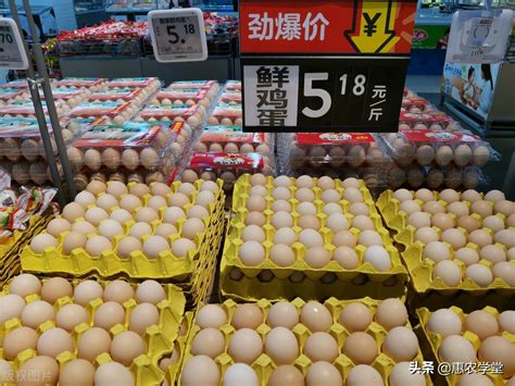 沈阳鸡蛋多少钱一斤