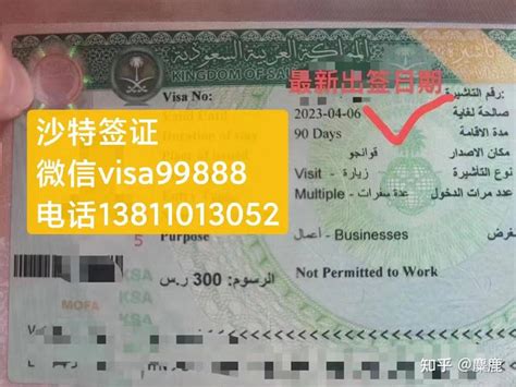 沙特签证模板图纸下载网站