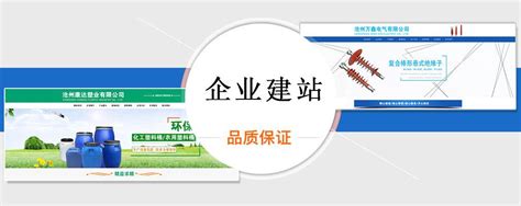 沧县网站优化排名