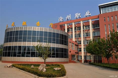 沧州专业的留学机构
