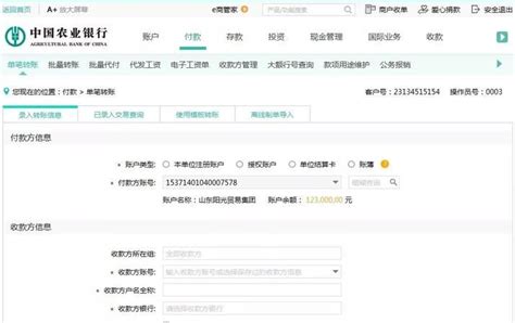 沧州银行对公账户网银转账流程