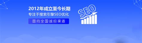 河北seo推广软件公司
