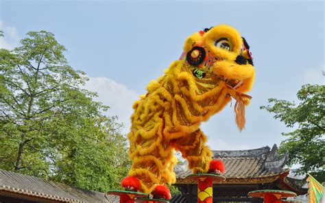 河南农村舞狮表演