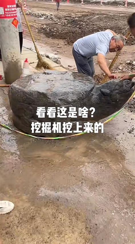 河南村庄修公路挖出大石龟