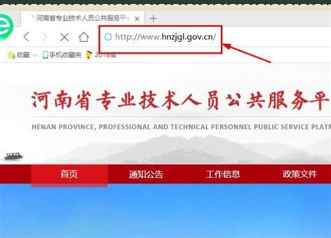 河南省专业发展平台官网