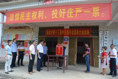 河南省村民委员会选举