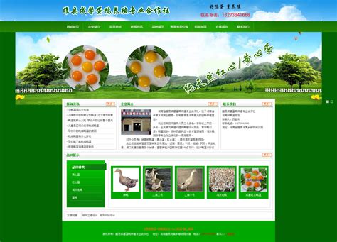 河南省网站制作设计