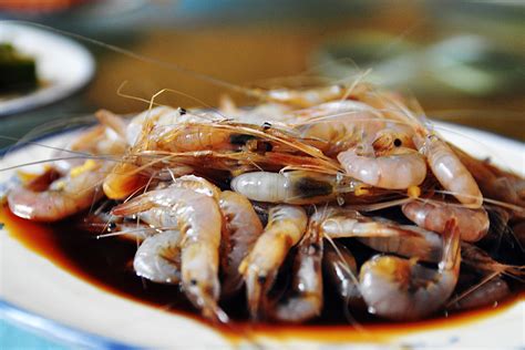 河虾喜欢吃什么食物