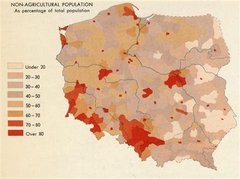 波兰人口