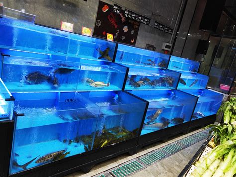 泰州餐厅海鲜鱼缸制作