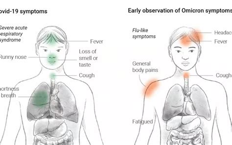 流感和奥密克戎症状对比图