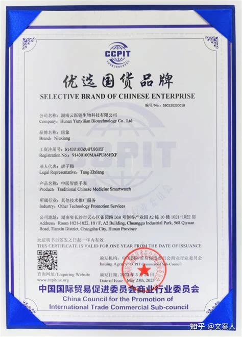 济宁网站推广优选企业名单