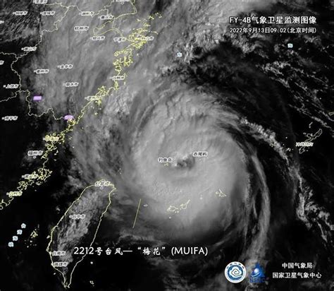 浙江最近有台风几号
