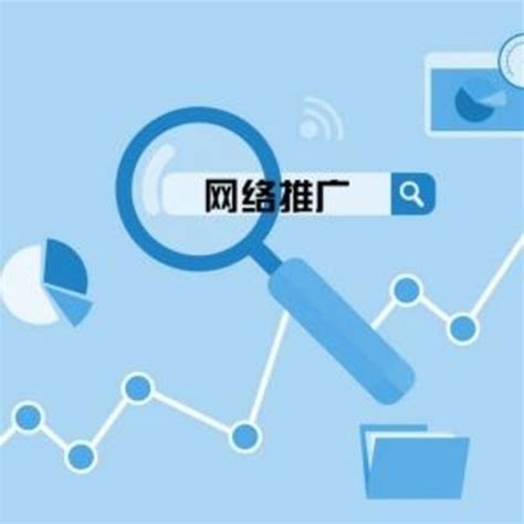 浙江seo网络科技