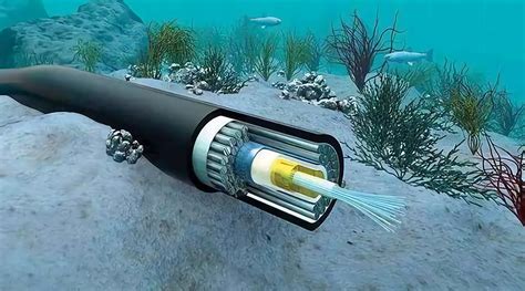 海底电缆专业厂家