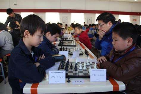 海淀区国际象棋比赛