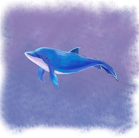 海豚设计