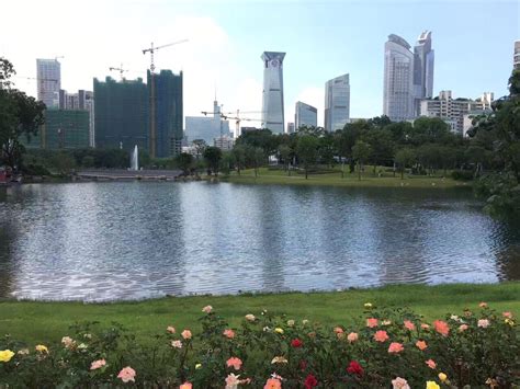 深圳公园排名最新