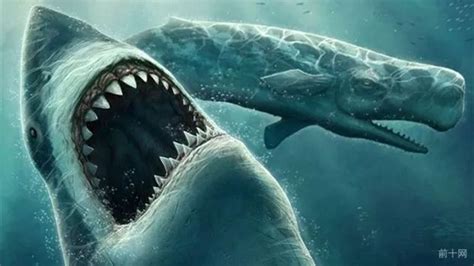 深海巨鲨突击视频
